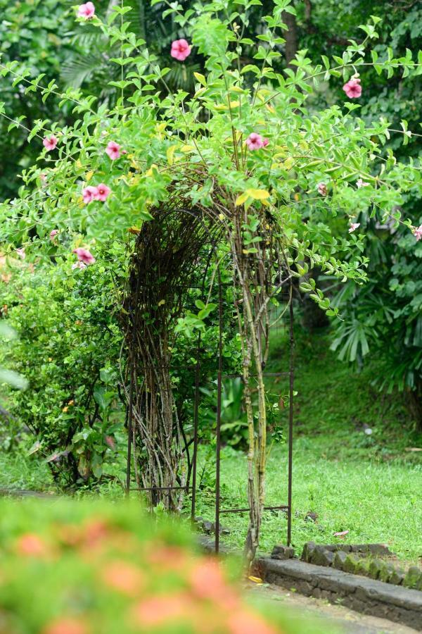 Irene'S Home Matale Εξωτερικό φωτογραφία